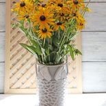 rudbekia kwiaty w wazonie