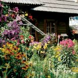 Rudbekie, liliowce, klematisy, begonie... dom tonie pośrod rożnokolorowych kwiatów.