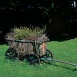 Rustykalne starocie nadają domowi i ogrodowi klimat. W drabiniastym wózku posazona kwiaty.