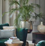 zielony salon aranżacje