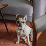 salon w stylu vintage