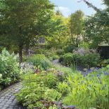 Ogród w Holandii: trochę w cieniu, trochę w słońcu