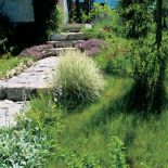 Ścieżki Marek zbudowal z wapienia, który pozostał po budowie domu. O skalniaki dba Jola.