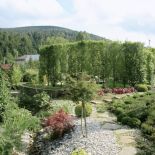 Ścieżki ukryte wśród roślin biegną po całym ogrodzie.