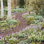 Ścieżki wyłożone sa korą albo wysypane żwirem.