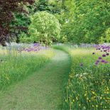Ścieżki w ogrodzie – inspiracje, pomysły i zdjęcia