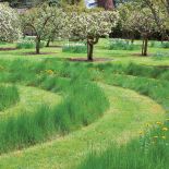 Ścieżki w ogrodzie – inspiracje, pomysły i zdjęcia