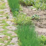 Ścieżki w ogrodzie – inspiracje, pomysły i zdjęcia