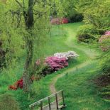 Ścieżki w ogrodzie – inspiracje, pomysły i zdjęcia