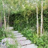 Ścieżki w ogrodzie – inspiracje, pomysły i zdjęcia