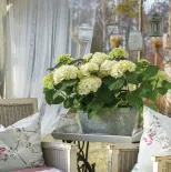 dekoracje na balkon w stylu shabby chic