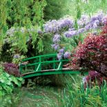 Słynny most Monet zaprojektował, wzorując się na japońskim drzeworycie.