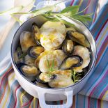 Smaki południowych wód. Smaki południowych wód