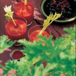 Sok pomidorowy albo krwawa Mary w wersji ogrodowej.