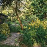 Ten ogród robi to, co chce: naturalnie zaaranżowany ogród blisko lasu