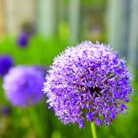 Stajnia może być przytulnym domem nie tylko dla koni. Projektant wnętrz z Londynu urządził się w swojej bardzo elegancko.