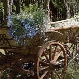 Stary wóz wygląda, jakby był tu od zawsze. Gospodarze wyszukali go na targu staroci i przywieźli w kawałkach. -