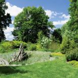 Staw bez wody - posadzone w zagłębieniu trawy wiją się, kwitną kolorowo i dają wrażenie, jakby tam była woda.