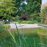 Staw pozwala wypocząć w upalne dni. Sielanka nad strumieniem