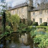 Stawik obrośnięty kaczeńcami i sitowiem.