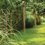 Strachy zrobione są z suszonych traw.