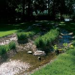 Strumień w ogrodzie. Nad rzeczką, pośród traw