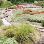 Strumień w ogrodzie. Wrzosowisko na tarasach