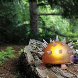 Magiczne dekoracje do domu i ogrodu