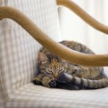 Styl prowansalski - hacjenda w słońcu