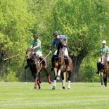 Stylistyczny mezalians, czyli angielska elegancja i prowansalskie zioła.