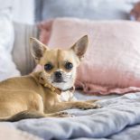 Trochę stylu francuskiego, trochę vintage, całość podkreślona złotymi akcentami i bardzo kobieca. Kasia zajmuje się