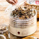 suszarka do grzybów i owoców