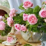 Świąteczna dekoracja stołu nie może się obyć bez kwiatów i porcelany. Delikatne wzory podkreślą wyjątkowy