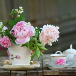 Świąteczna dekoracja stołu nie może się obyć bez kwiatów i porcelany. Delikatne wzory podkreślą wyjątkowy