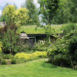 Świerki, paprocie, bluszcz i rododendrony tworzą cudowne kompozycje pełne kontrastów.