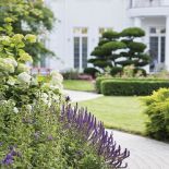 Ta odmiana pasowała tu idealnie – opowiadają. Zanim w czerwcu rozpocznie się różany spektakl, rabaty