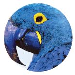 Talerze, miski i dzbanki powstały na egzotycznym Południu, pełnym wibrujących kolorów i radosnych wzorów. Kolekcję