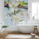 Fototapety botaniczne