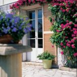 Taras tonie wśród róż - widać, że Anna ma dobrą rękę do roślin.