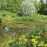 Te wszystkie piękności chronią przed zimnymi wiatrami drzewa i mnóstwo krzewów.