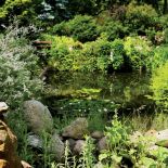 Tego uroczego zakątka pilnuje kamienny gargulec .