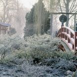 Zima w japońskim ogrodzie