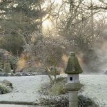 Zima w japońskim ogrodzie