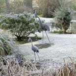 Zima w japońskim ogrodzie