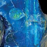 The National History Museum, Londyn.