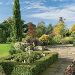 Tłem dla krzewów stały się majestatyczne drzewa, które jesienią przebarwiają się na milion kolorów.