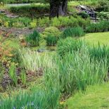 To idealne warunki do hodowli różaneczników