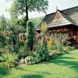 To jeden ze starszych domów w Zakopanem. Otacza go gąszcz bujnej zieleni, a właściwie kwiatów we szystkich barwach tęczy.