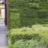 Ogród w centrum miasta