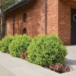 To nie stajnia w Beneluksie, zamieniona przez milionera w luksusową posiadłość. To loft pod Piłą.